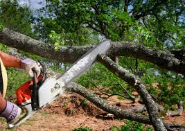 Best Lot and Land Clearing  in Brisbane, CA