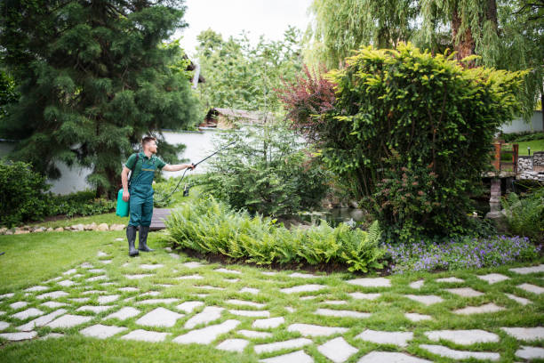 Lawn Maintenance Plans in Brisbane, CA