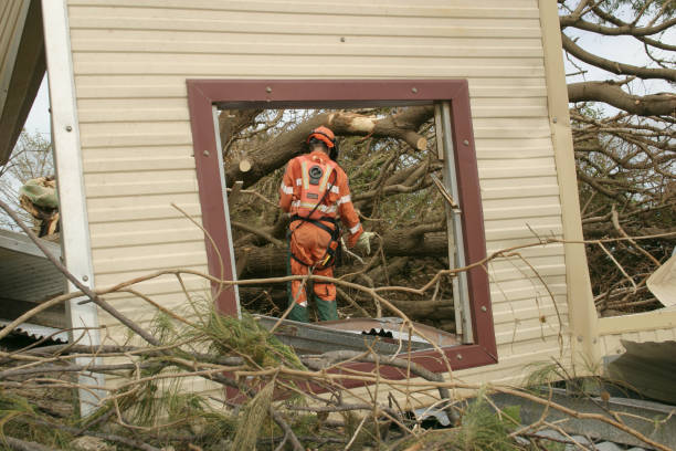 Best Seasonal Cleanup (Spring/Fall)  in Brisbane, CA