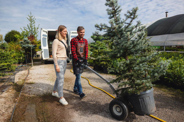 Best Pest Control for Lawns  in Brisbane, CA